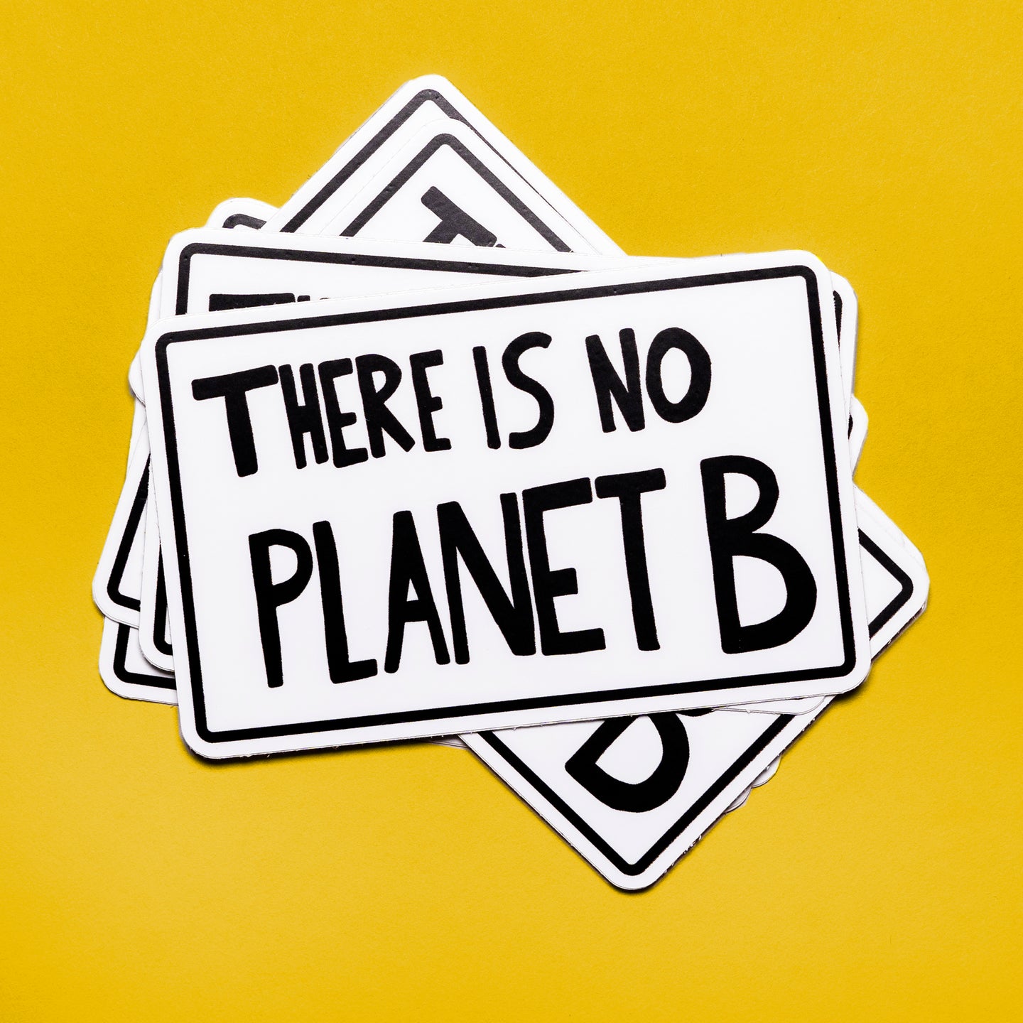 There is no Planet B protest poster - vinyl sticker