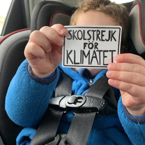 Climate change protest poster sticker pack - Skolstrejk för Klimatet | There is No Planet B | We'll be Less Activist if You'll be Less Shit